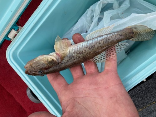 image0 (00A)251021-10.jpeg